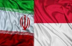 سمینار معرفی دستاوردهای نانو فناوری ایران در جاکارتا