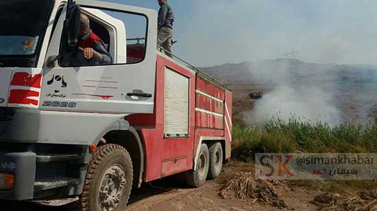 اقدام سریع تیم آتش نشانی سیمان خزر در مهار آتش سوزی باغات زیتون شهر لوشان