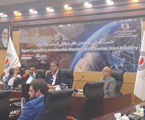 ایران دانش فنی احداث زنجیره فولاد و مس را در اختیار دارد